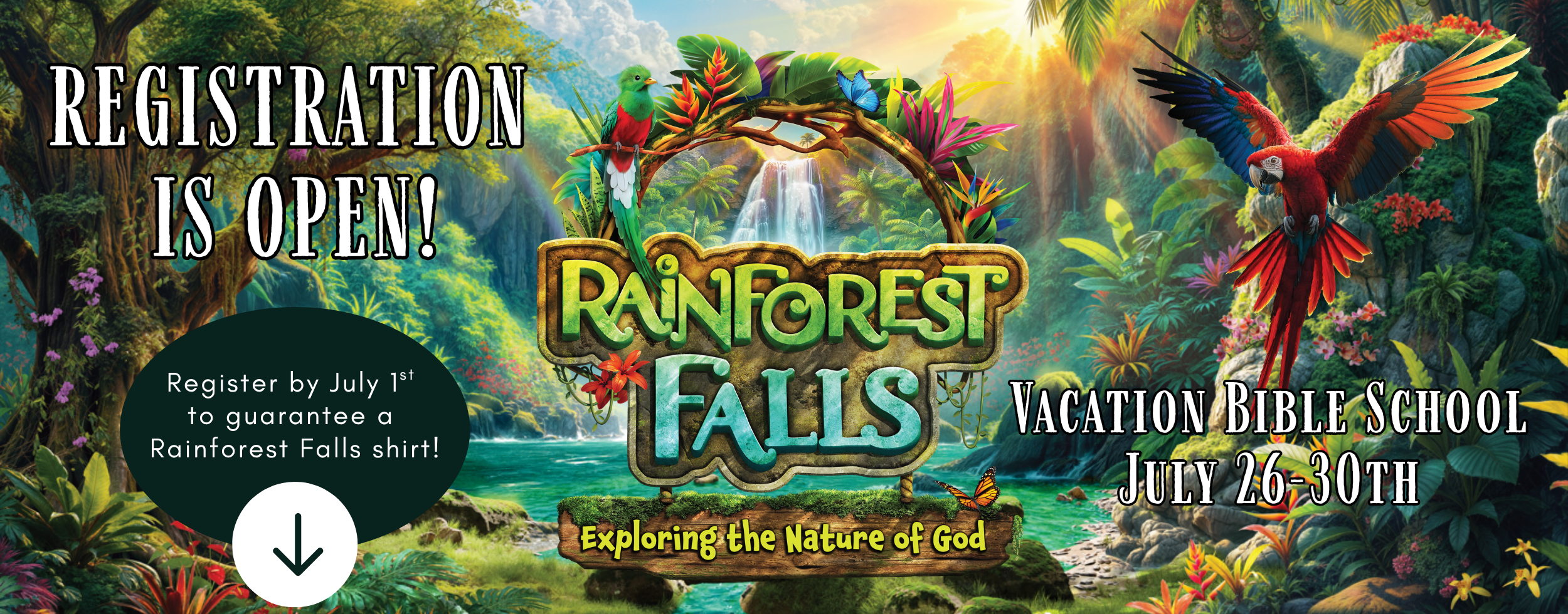 Rainforest Falls Website Homepage .png